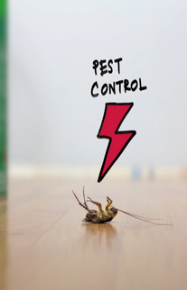 Pest Control 1